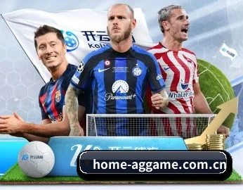 home-aggame.com.cn的故事